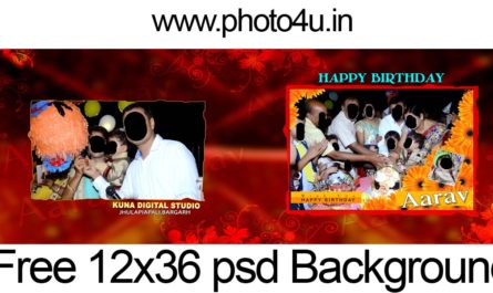 Download Indian Wedding Album Design Templates 12x36 Free Download 13 Photo4u In Yellowimages Mockups